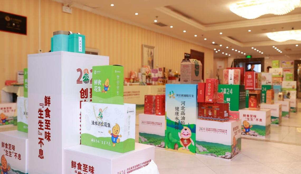 河北省花生集群工作推进会议暨保定廊坊片区优质花生产业发展大会展示区域。金玲摄